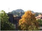 foto anzeige