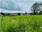 foto anzeige