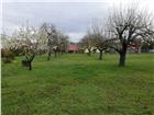 foto anzeige
