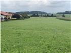 foto anzeige