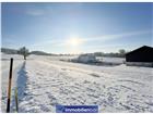 foto anzeige