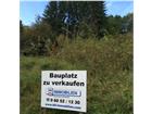 foto anzeige