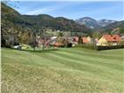 foto anzeige