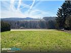 foto anzeige