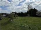foto anzeige