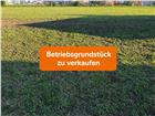 foto anzeige