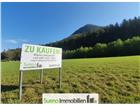 foto anzeige