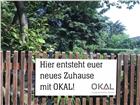 foto anzeige