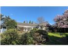 foto anzeige