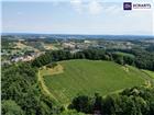 foto anzeige