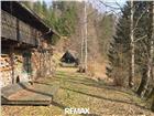 foto anzeige