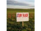 foto anzeige