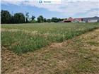 foto anzeige
