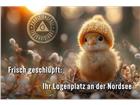 foto anzeige