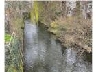 foto anzeige