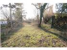 foto anzeige
