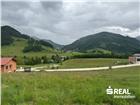 foto anzeige