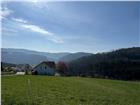 foto anzeige