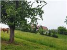 foto anzeige