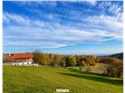 foto anzeige