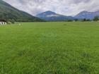 foto anzeige