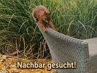 foto anzeige