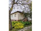foto anzeige