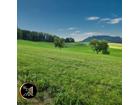 foto anzeige