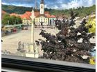 foto anzeige