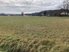 foto anzeige
