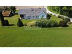 foto anzeige