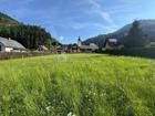 foto anzeige