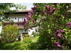 foto anzeige