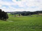 foto anzeige