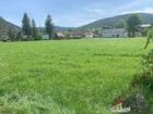 foto anzeige