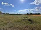foto anzeige