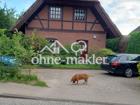 foto anzeige