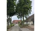 foto anzeige