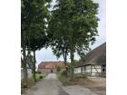 foto anzeige