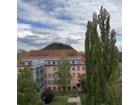 foto anzeige