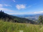 foto anzeige