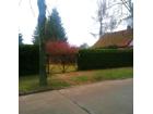 foto anzeige