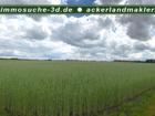 foto anzeige