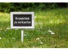 foto anzeige