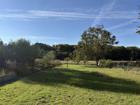 foto anzeige