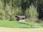 foto anzeige
