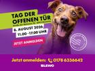 foto anzeige
