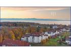 foto anzeige