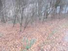 foto anzeige