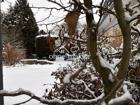 foto anzeige